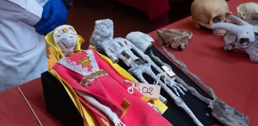 Cientistas revelam a verdade por trás das múmias extraterrestres do Peru