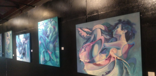 Mostra 'Medusas, quimeras e outras histórias' segue até 31 de janeiro em Bento Gonçalves