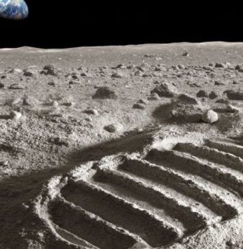 Pela primeira vez, cientistas conseguem cultivar sementes em solo lunar