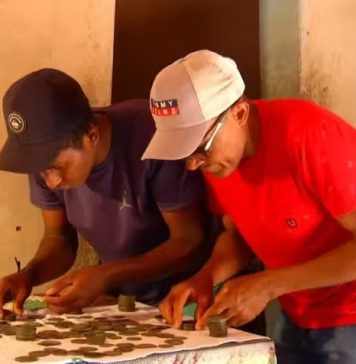 Agricultor encontra tesouro antigo enterrado perto da casa em Tocantins