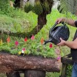Aprenda a transformar tronco de madeira de descarte em floreira