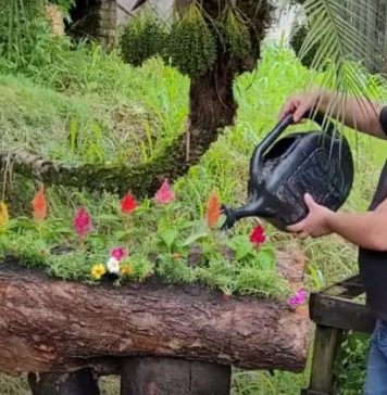 Aprenda a transformar tronco de madeira de descarte em floreira