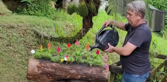 Aprenda a transformar tronco de madeira de descarte em floreira