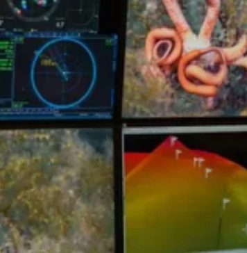 Expedição ao fundo do mar descobre mais de 100 novas espécies