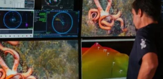 Expedição ao fundo do mar descobre mais de 100 novas espécies