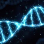 Cromossomo Y está desaparecendo da espécie humana