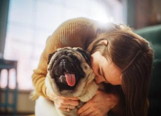 Saiba quais são as 10 raças de cachorros ideais para apartamento