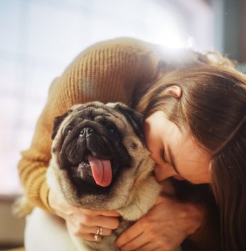 Saiba quais são as 10 raças de cachorros ideais para apartamento