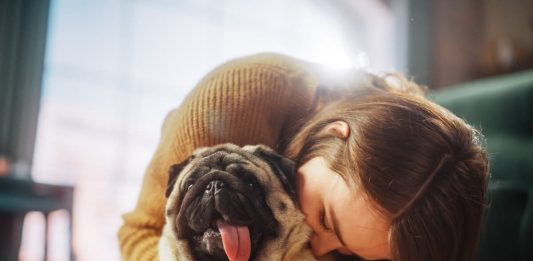 Saiba quais são as 10 raças de cachorros ideais para apartamento