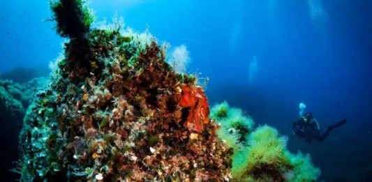 Cientistas descobrem quatro montanhas gigantes no fundo do mar Cientistas descobrem quatro montanhas gigantes no fundo do mar