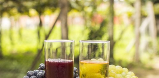 Imagem: Suco de Uva/Crédito Dandy Marchetti/Ibravin
