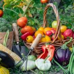 Foto: Freepik/Divulgação