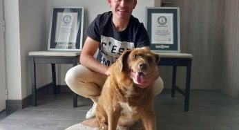 Escândalo no Guinness: cão mais velho do mundo pode ser fraude