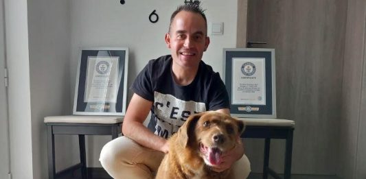Escândalo no Guinness: cão mais velho do mundo pode ser fraude
