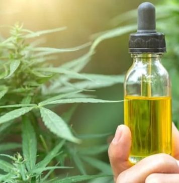 Extrato de Cannabis pode ajudar a combater câncer de pele