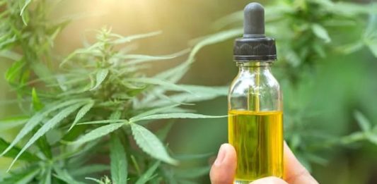 Extrato de Cannabis pode ajudar a combater câncer de pele