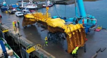 Dispositivo inspirado em caranguejo gera energia a partir das ondas do mar