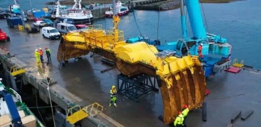Dispositivo inspirado em caranguejo gera energia a partir das ondas do mar