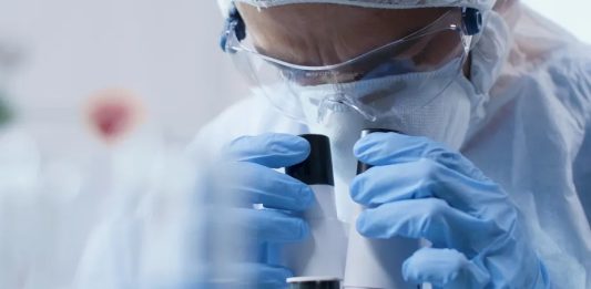 Fonte da juventude pode se tornar realidade após tratamento com células T