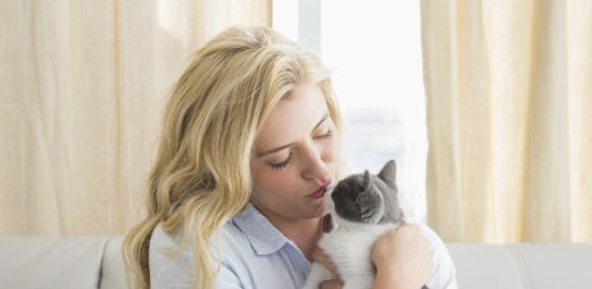 Gato com medo: como ajudar um bichano assustado?