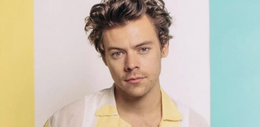 Brasileira envia impressionantes 8.000 cartas ao cantor Harry Styles