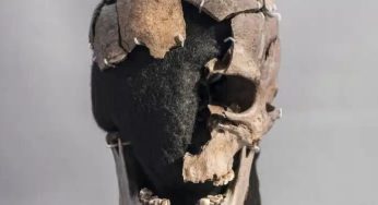 Revelações surpreendentes sobre o misterioso ‘Homem de Vittrup’, morto há 5.200 anos, são desvendadas por cientistas