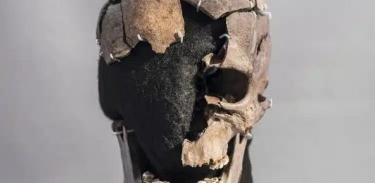 Revelações surpreendentes sobre o misterioso ‘Homem de Vittrup’, morto há 5.200 anos, são desvendadas por cientistas