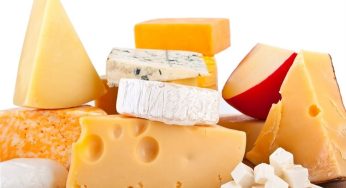 Surto de bactéria Listeria em queijos mata duas pessoas e deixa 11 internadas