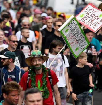 Alemanha legaliza maconha: o que muda com as novas regras?