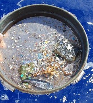 Jovem cria solução inovadora para combater microplásticos nos oceanos
