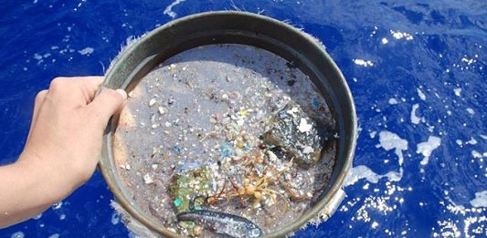 Jovem cria solução inovadora para combater microplásticos nos oceanos