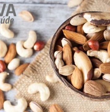 Viva com Saúde – 06/02/2024 – Oleaginosas: fontes de proteína, gordura vegetal e minerais antioxidantes