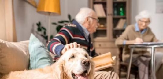 Pets ajudam a reduzir a demência em idosos que moram sozinhos, diz novo estudo