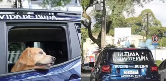 Golden que venceu câncer ganha buzinaço e comove a web: “última quimio”