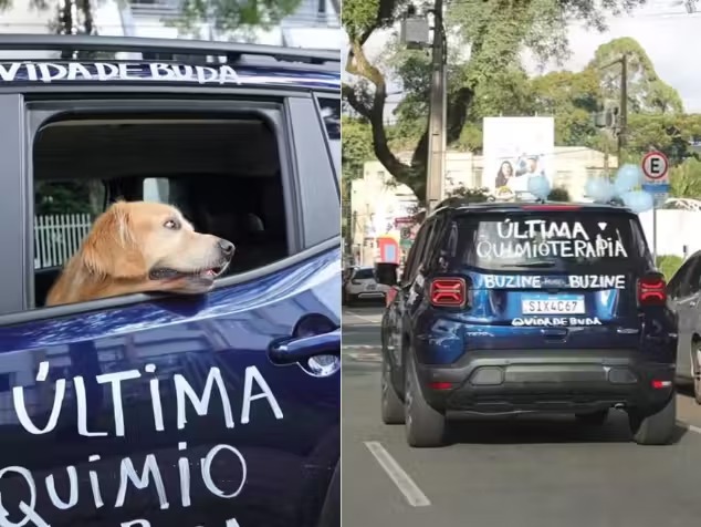 Golden que venceu câncer ganha buzinaço e comove a web: “última quimio”