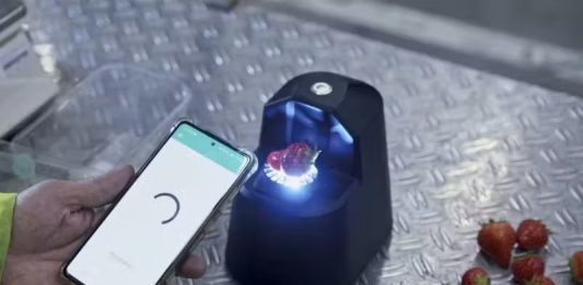 Novo scanner detecta prazo de validade das frutas vendidas em mercados