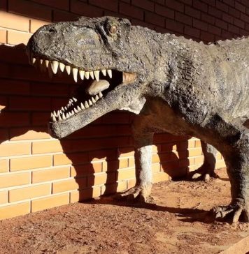 Superpredador e 'tataravô' dos jacarés: artigo revela detalhes de espécie pré-histórica do RS