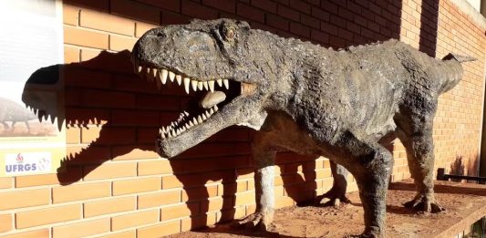 Superpredador e 'tataravô' dos jacarés: artigo revela detalhes de espécie pré-histórica do RS