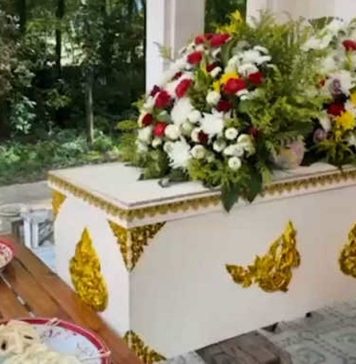 Bizarro: Mulher acorda a caminho da sua própria cremação