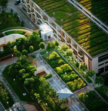 Telhados verdes economizam energia e diminuem temperaturas das cidades