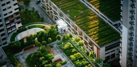 Telhados verdes economizam energia e diminuem temperaturas das cidades