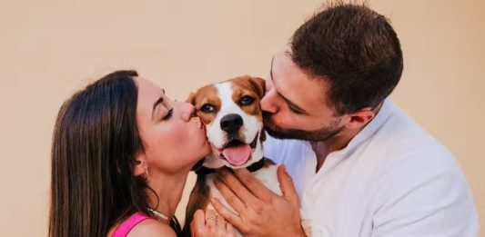 Tinder faz ação para incentivar adoção de pets no app