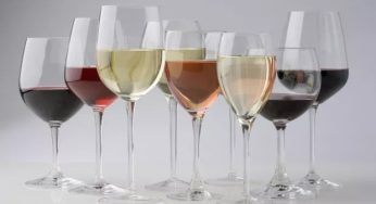 Por que há diferentes tipos de taça para diferentes tipos de vinho?