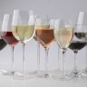Brasil tem sete vinhos premiados no 26º VinAgora International Wine Competition, na Hungria