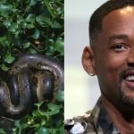 Nova espécie de cobra é encontrada em gravação de série com Will Smith na Amazônia