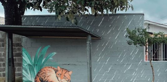 Mosaico na Quebrada promove atividades em Caxias do Sul neste sábado