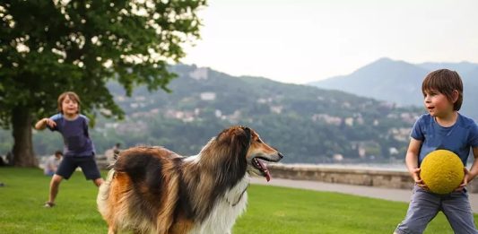 Crianças que têm cães se exercitam mais, mostra estudo
