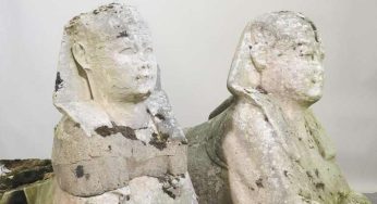 Casal descobre que decoração de quintal era relíquia egípcia