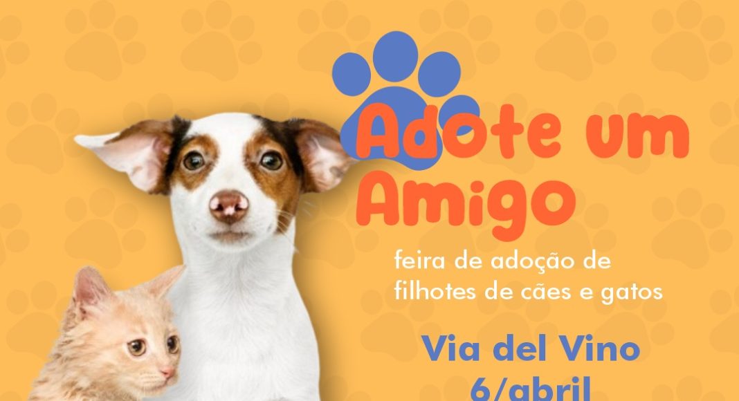 Bento Pet: feira de adoção ocorre no próximo sábado em Bento Gonçalves