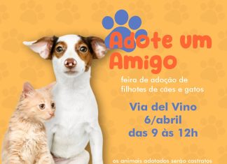 Bento Pet: feira de adoção ocorre no próximo sábado em Bento Gonçalves